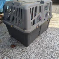 دو عدد باکس  بزرگ سگ