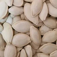 تخمه کدوخام عمده|خوردنی و آشامیدنی|تهران, ترمینال غرب|دیوار