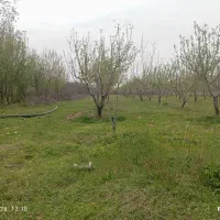 فروش باغ در سپیدان هماشهر