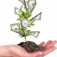 سرمایه گذاری و درآمد