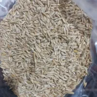 جووژمانی درگراب