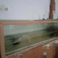 آکواریوم بزرگ به همراه سنگ