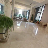 250متر/فرشته/دید ابدی/3800متر زمین|فروش آپارتمان|تهران, الهیه|دیوار