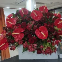 گل طبیعی فروشی عجله ای زیر قیمت
