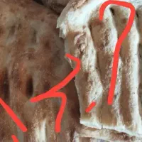 نان خشک تمیز