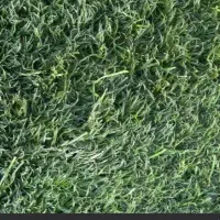 چمن مصنوعی نو اصلا استفاده نشده