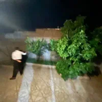 اجاره-مسکونی