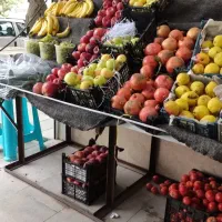وسایل میوه فروشی|حراج|مشهد, توس فردوسی|دیوار