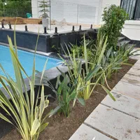 سمپاشی منازل و باغات تضمینی ۲۴ ساعته|خدمات نظافت|رشت, بلوار گیلان|دیوار