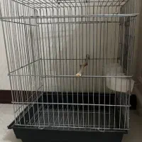 قفس پرنده