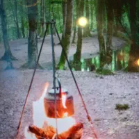 تور لحظه آخری اسب ریسه