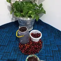 رب آلوچه سنتی  آتشی و آب غوره|خوردنی و آشامیدنی|لاهیجان, بوجایه|دیوار