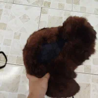 کلاه پشمی|لباس|بندر انزلی, ساحل قو|دیوار