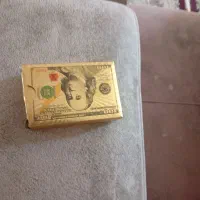 پاسور دلاری