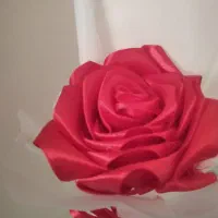 گل ربانی تک شاخه