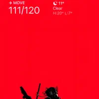 ایفون xs max 64g