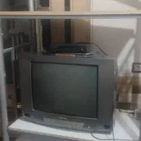 تلوزیون