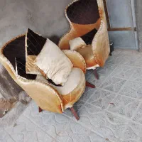 مبل نونو 12500|مبلمان خانگی و میز عسلی|تایباد, |دیوار