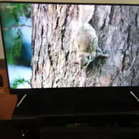 تلویزیون ال ای دی جی پلاس|تلویزیون و پروژکتور|شیروان (خراسان), |دیوار