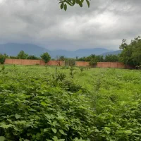 ویلا-باغ-5-هزارمتری-با-دامداری-و-سند-تک-برگ