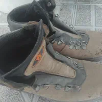 کفش کوهنوردی