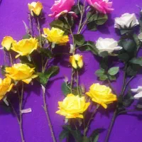 گل رز خارجی کیفیت عالی قابل شستشو|گل مصنوعی|کرمانشاه, |دیوار