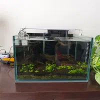 فروش آکواریوم با تجهیزات کامل