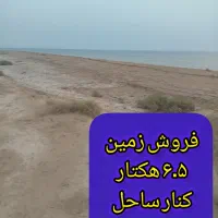 فروش ۶.۵ هکتار زمین پلاک اول ساحل