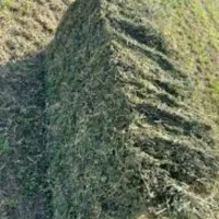 ۴۲بسته یونجه خشک