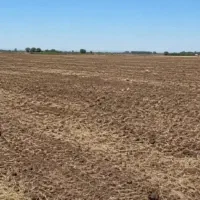 اجاره-5هکتار-زمین-کوه-خرپشت-جنب-روستای-شهدا