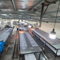 شابلون زن ماهر و نمیه ماهر و ساده و میز گردان