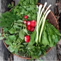 عمو سبزی فروشم نیم کیلو اول رایگان