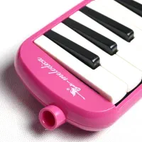 ملودیکا سوآن 37 کلید|سازهای بادی|فولادشهر, C5|دیوار