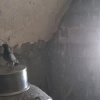کفتر|پرنده|تویسرکان, |دیوار