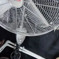 پنکه|پنکه و تصفیهکنندهٔ هوا|پاکدشت, پاکدشت (مامازند)|دیوار