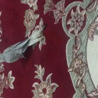 عروس هلندی وایت فیس نر ۶ ماهه|پرنده|اهواز, شهرک نفت|دیوار