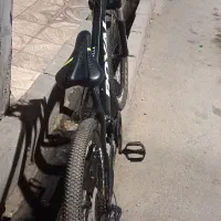 رویال