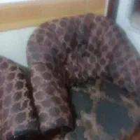 مبل|مبلمان خانگی و میز عسلی|قم, شاد قلی|دیوار