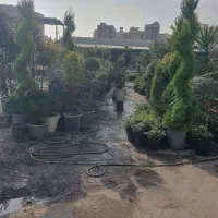 خدمات گل و گیاه