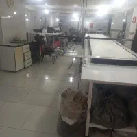 مزدی دوز وبیرون برتریکو