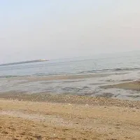 مسافر از بوشهر به کنگان