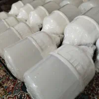 لامپ کم مصرف|لامپ و چراغ|گنبد کاووس, |دیوار