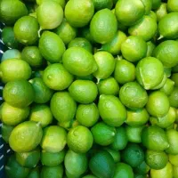 آبلیمو گیری،وآب غوره گیری ،درحضور مشتری،