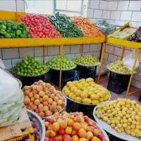 نیروی ماهر و کارگر ساده جهت میوه فروشی