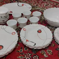 آرکوپال مدل پاملا
