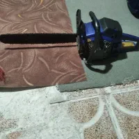 هرس درخت وخرید چوب تر وخشک