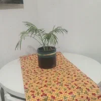 ناهارخوری کم جا
