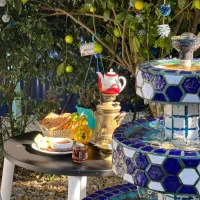 استخدام سالن کار