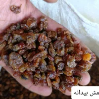 کشمش ابگیری|خوردنی و آشامیدنی|ملایر, |دیوار