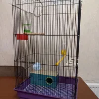 قفس پرنده با تمام وسایل